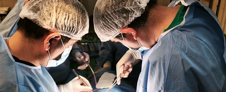 Imagen Tasa de suspensión alcanzó su registro más bajo en septiembre