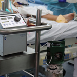 Imagen Verano protegido: prevención y tratamiento frente al virus Hanta