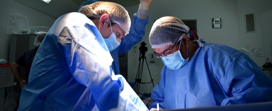 Imagen HGGB ha realizado 70 trasplantes hepáticos