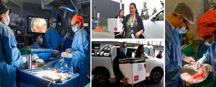 Imagen HGGB único hospital en regiones en participar de cadena nacional